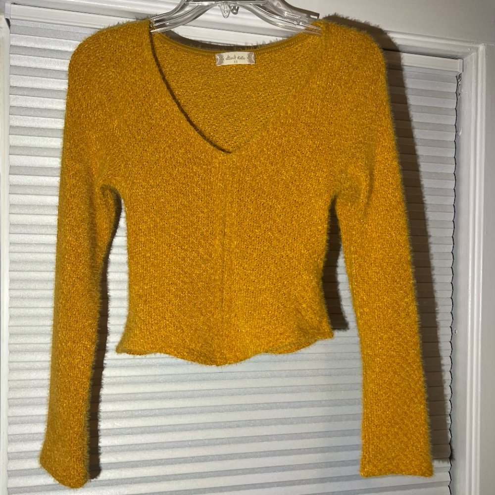 Altar'd State Cute Cropped Sweater